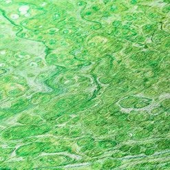 Copeland Lime 1 ft. 8 in. x 2 ft. 6 in. Abstract Accent Rug by Addison Rugs 19 Copeland Lime 1 ft. 8 in. x 2 ft. 6 in. Abstract Accent Rug by Addison Rugs -Addison Rugs Sales lime addison rugs area rugs hdkc5lm20x30 fa 1000 1