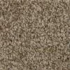 Hartsfield - Color Skypoint Indoor 12 ft. Texture Beige Carpet (1080 sq. ft./Roll) by TrafficMaster -Addison Rugs Sales skypoint trafficmaster roll carpet h2022 1815 1200 64 1000