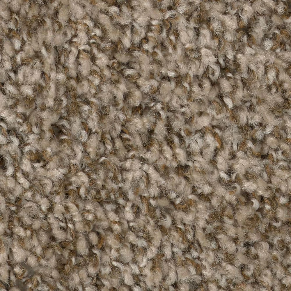 Hartsfield - Color Skypoint Indoor 12 ft. Texture Beige Carpet (1080 sq. ft./Roll) by TrafficMaster 10 Hartsfield - Color Skypoint Indoor 12 ft. Texture Beige Carpet (1080 sq. ft./Roll) by TrafficMaster - Image 8