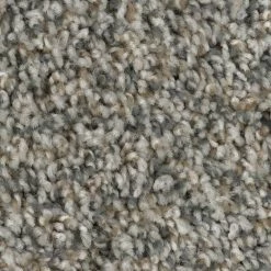 Prancer - Color Woodland Indoor 12 ft. Texture Beige Carpet (1080 sq. ft./Roll) by TrafficMaster -Addison Rugs Sales woodland trafficmaster roll carpet h2036 267 1200 d4 1000